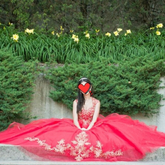 Prom dress/ Quinceañera dress - Picture 4 of 4